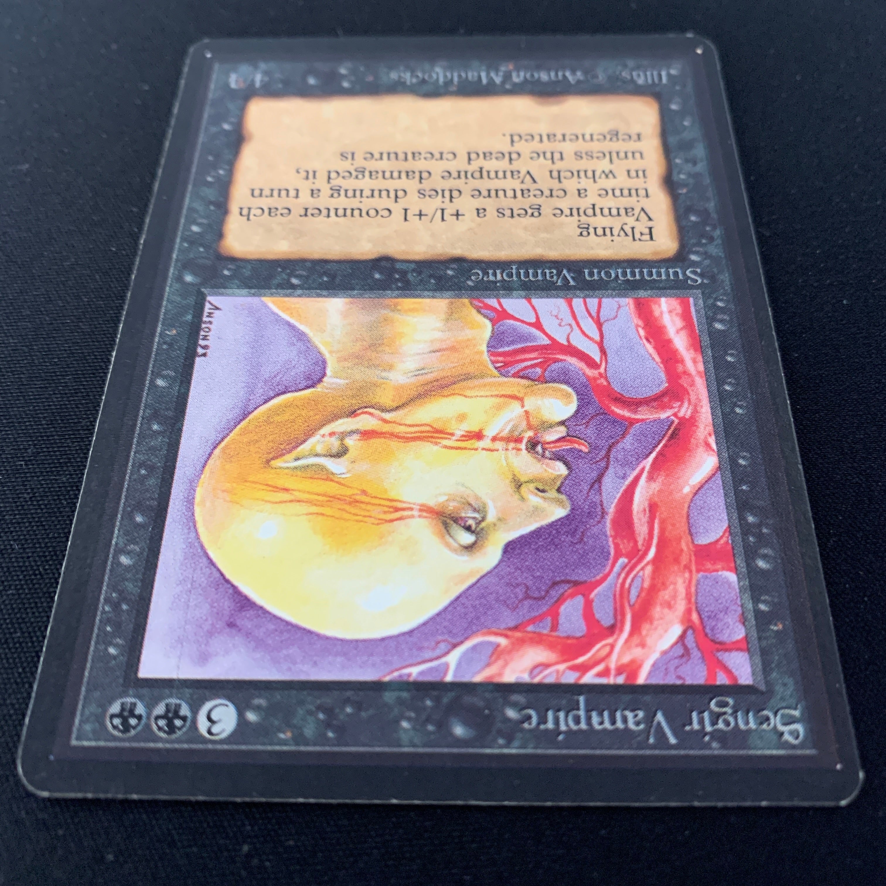 MTG Singles - Sengir Vampire - Beta - 