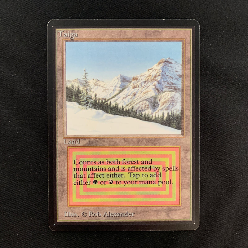 Magic the Gathering Taiga - Beta 