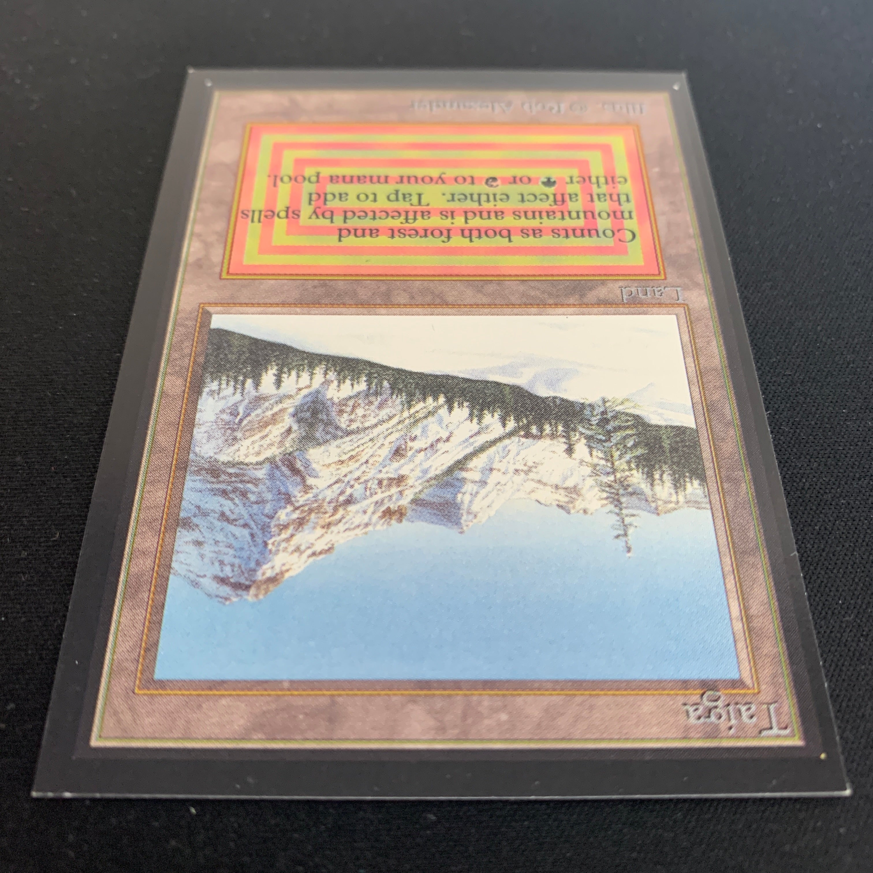 MTG Singles - Taiga - Collectors' Edition - 