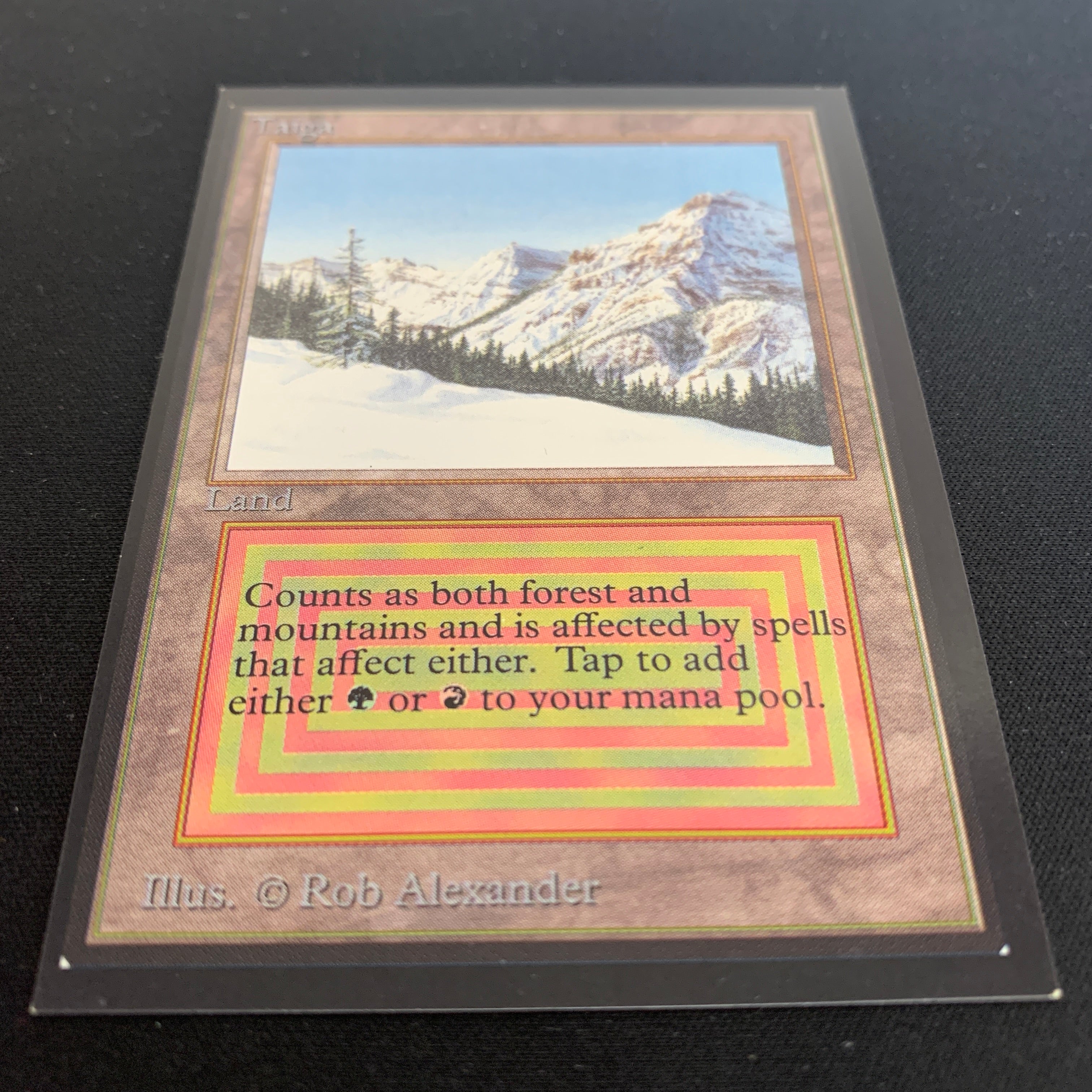 MTG Singles - Taiga - Collectors' Edition - 