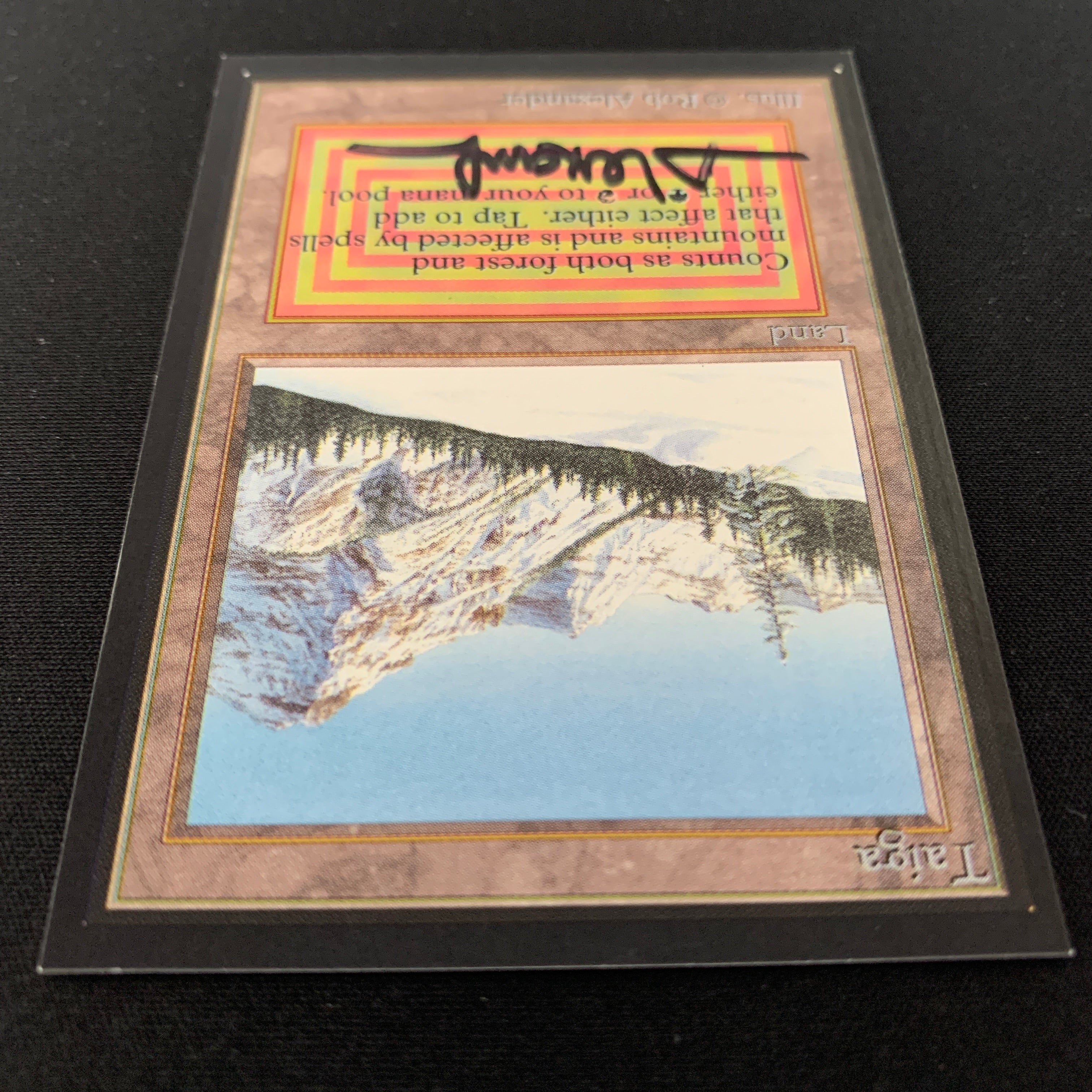 MTG Singles - Taiga - Collectors' Edition - 