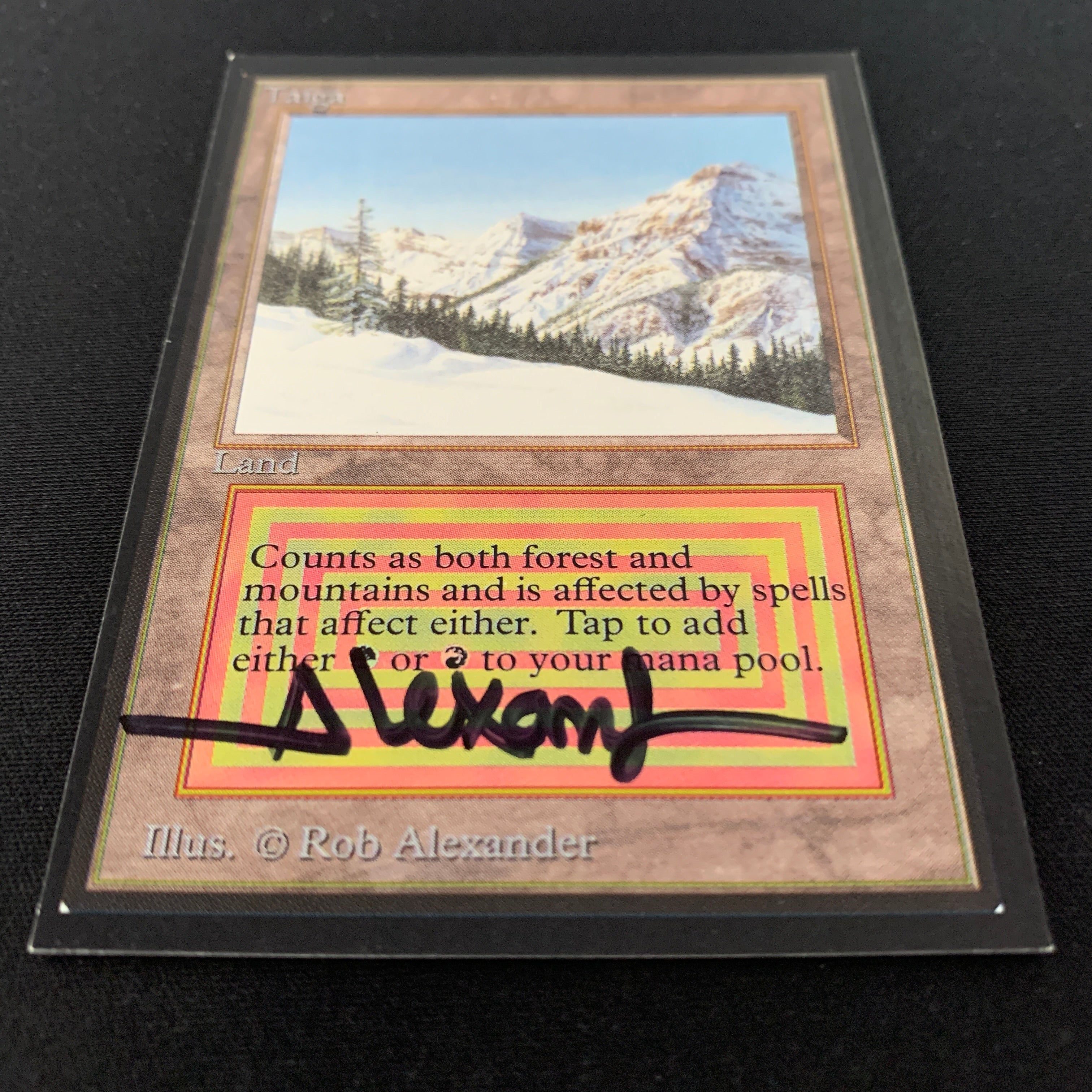 MTG Singles - Taiga - Collectors' Edition - 