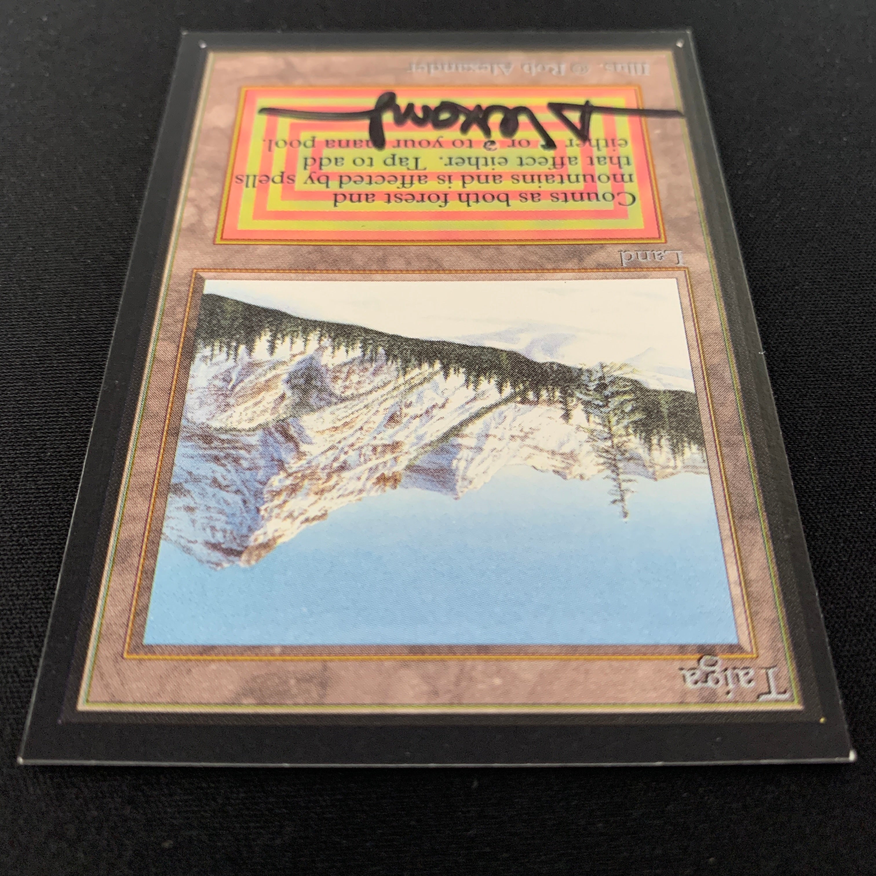 MTG Singles - Taiga - Collectors' Edition - 