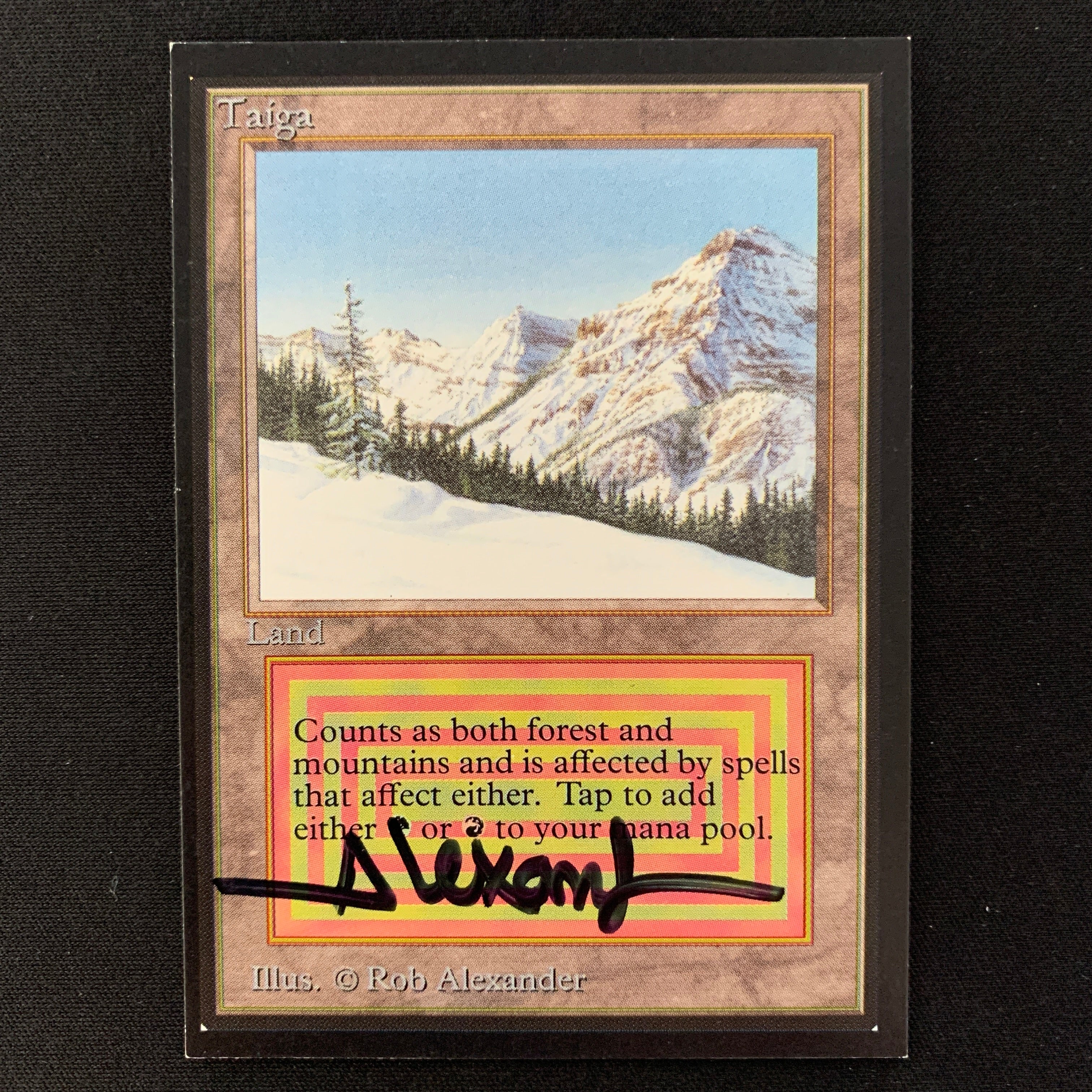 MTG Taiga 【IE】鑑定 Magic: the Gathering MTG Taiga [Revised Edition] Graded CGC 8.5 NM