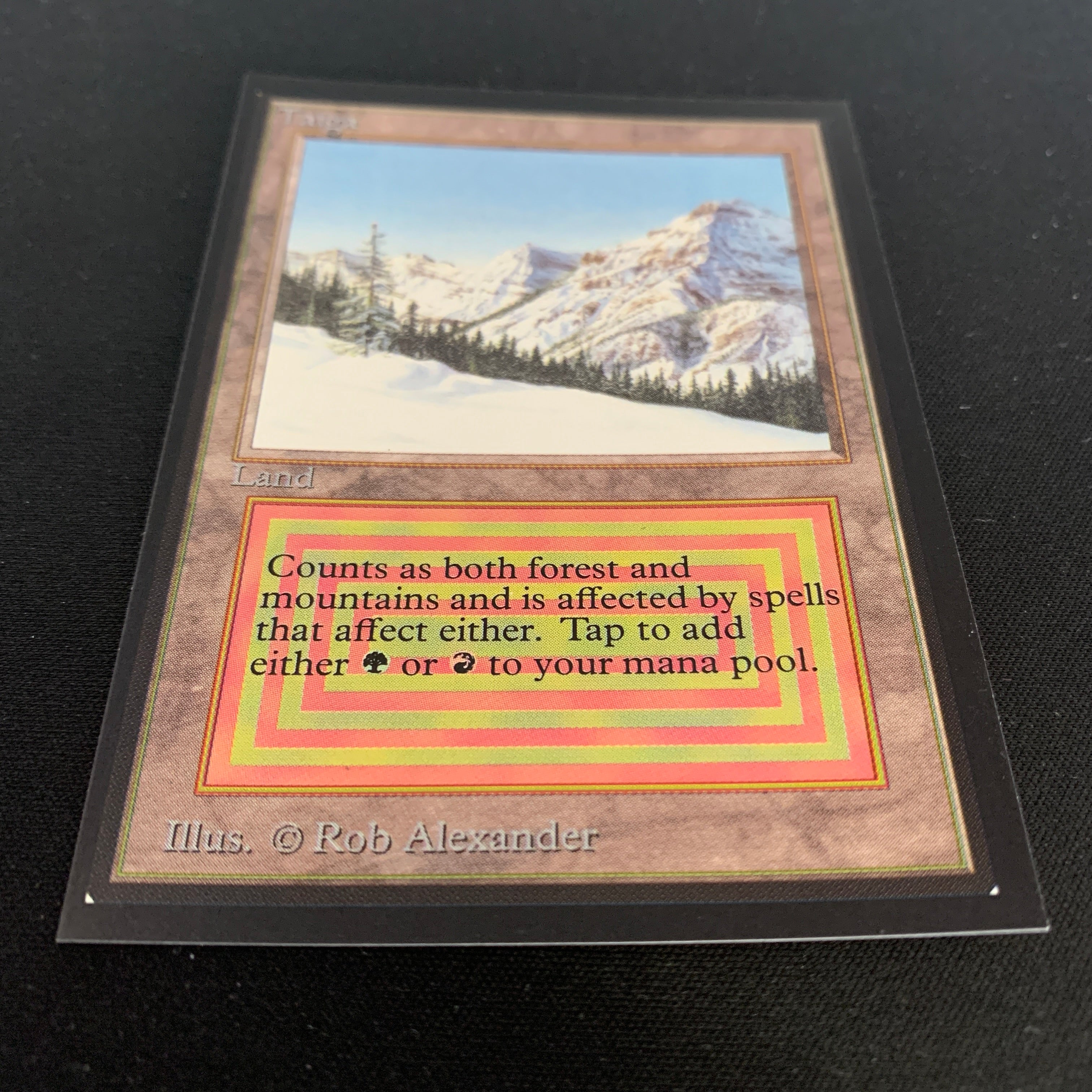 MTG Singles - Taiga - Collectors' Edition - 