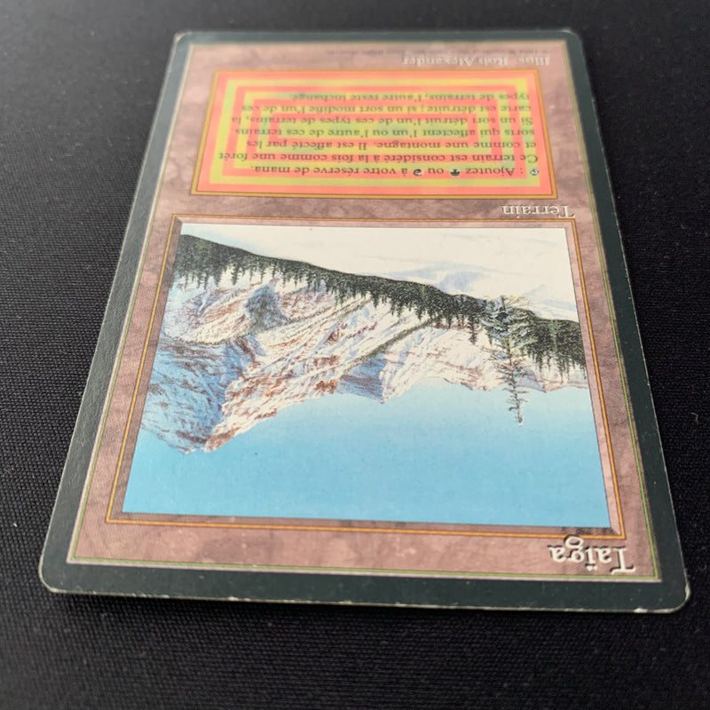 Magic the Gathering Taiga - Foreign Black Bordered - French 