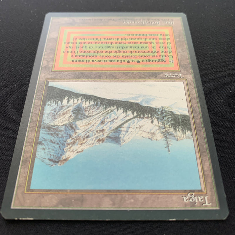 Magic the Gathering Taiga - Foreign Black Bordered - Italian 