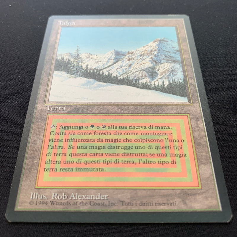 Magic the Gathering Taiga - Foreign Black Bordered - Italian 