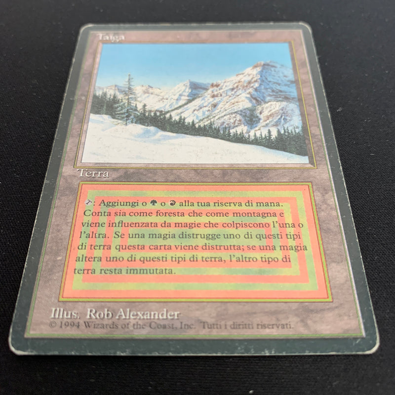 Magic the Gathering Taiga - Foreign Black Bordered - Italian 