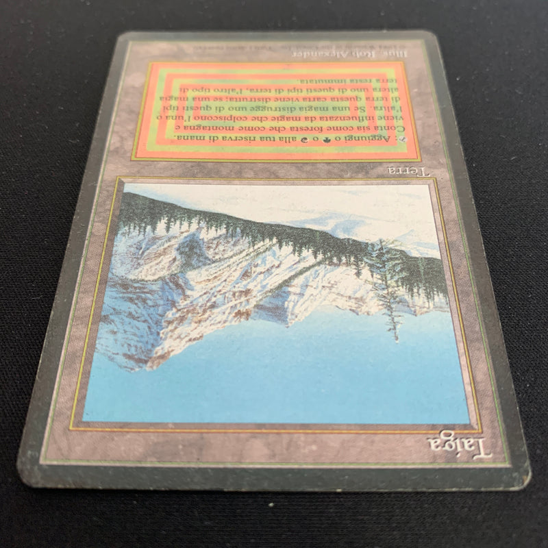 Magic the Gathering Taiga - Foreign Black Bordered - Italian 