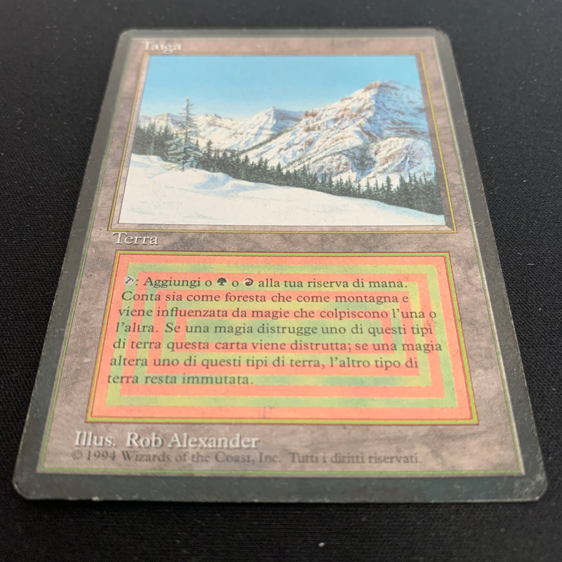 Magic the Gathering Taiga - Foreign Black Bordered - Italian 