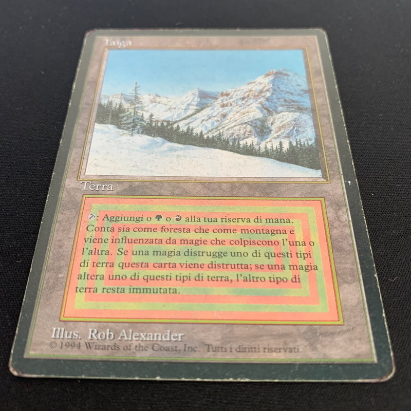 Magic the Gathering Taiga - Foreign Black Bordered - Italian 