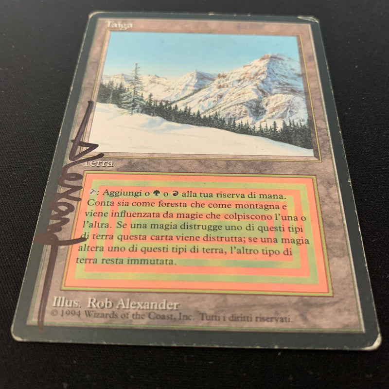 Magic the Gathering Taiga - Foreign Black Bordered - Italian 