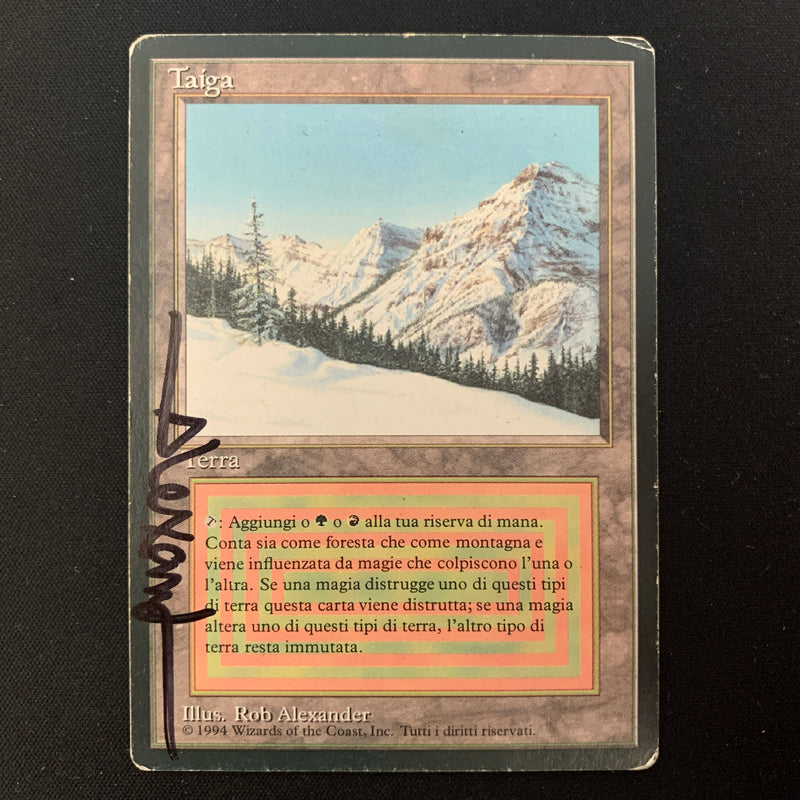 Magic the Gathering Taiga - Foreign Black Bordered - Italian PL - SIGNED - 24497