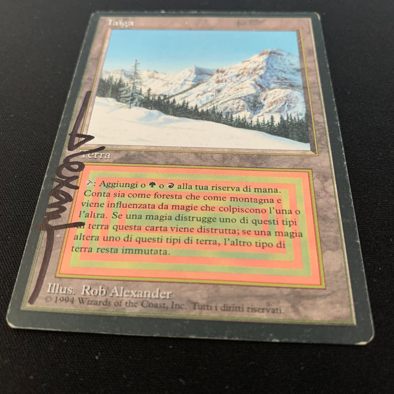 Magic the Gathering Taiga - Foreign Black Bordered - Italian 