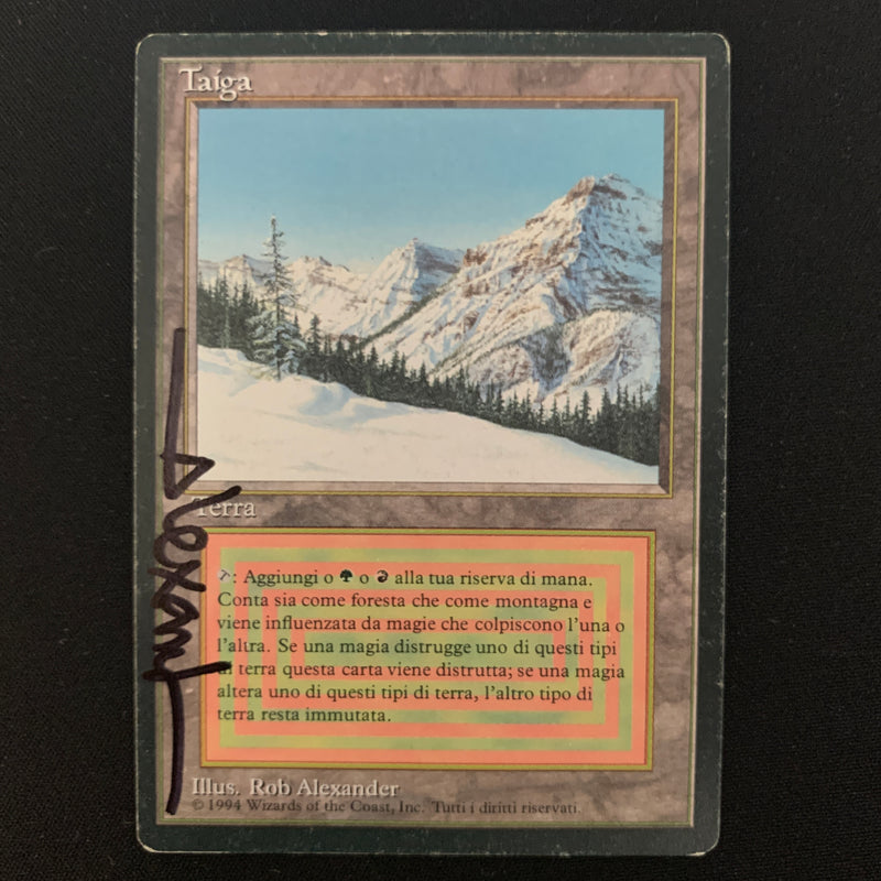 Magic the Gathering Taiga - Foreign Black Bordered - Italian 