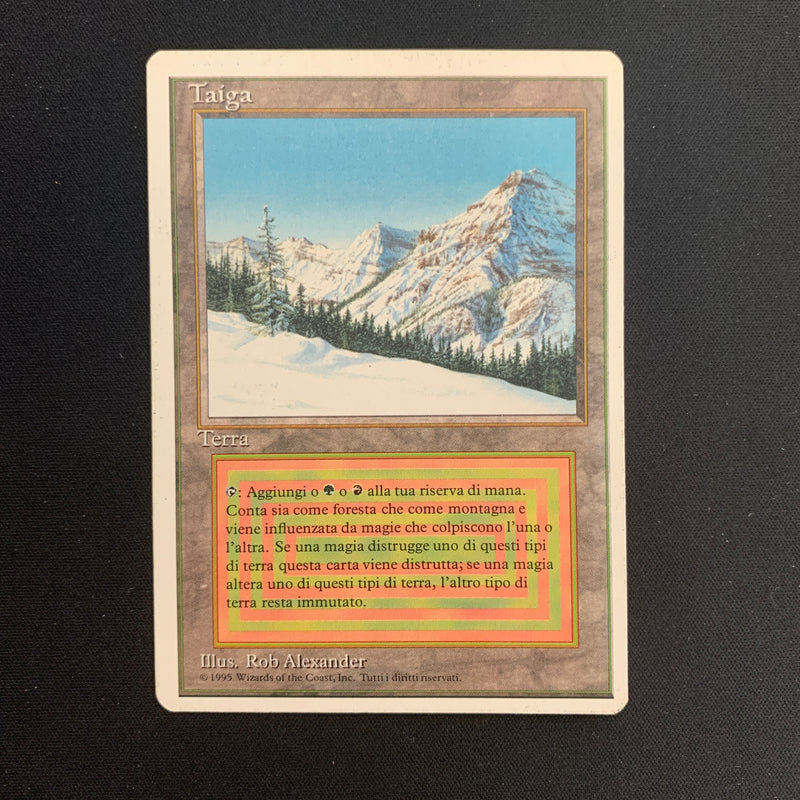 Taiga - Foreign White Bordered - Italian