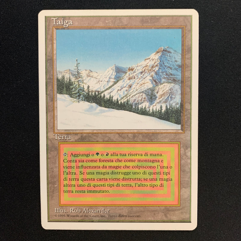 Taiga - Foreign White Bordered - Italian