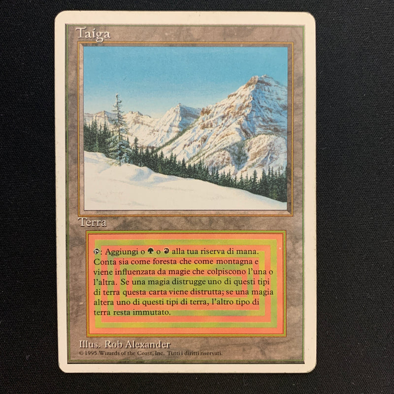 Taiga - Foreign White Bordered - Italian