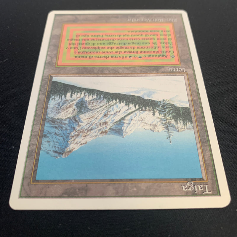 Taiga - Foreign White Bordered - Italian