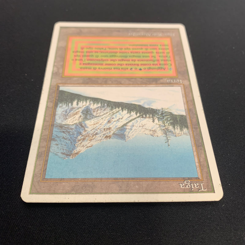 Taiga - Foreign White Bordered - Italian