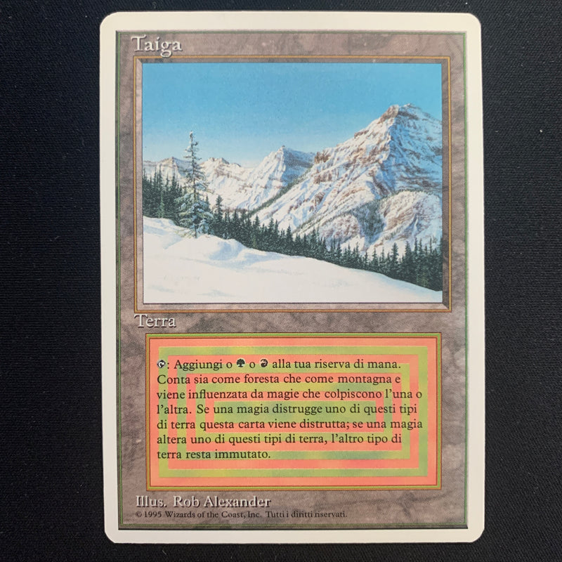 Taiga - Foreign White Bordered - Italian