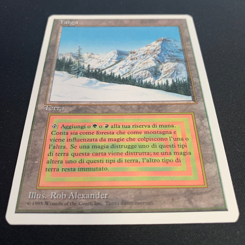 Taiga - Foreign White Bordered - Italian