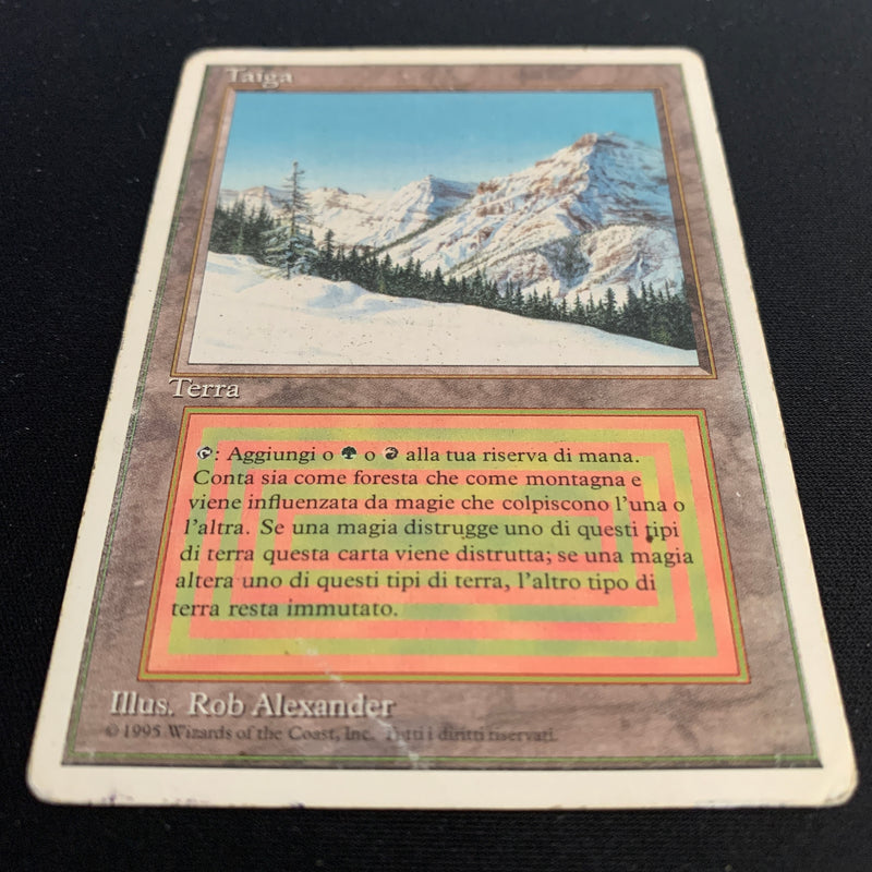 Taiga - Foreign White Bordered - Italian