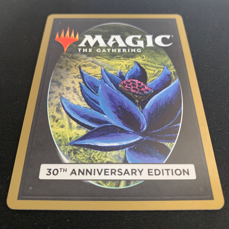 Magic the Gathering Taiga (Modern Frame) - 30th Anniversary Edition 