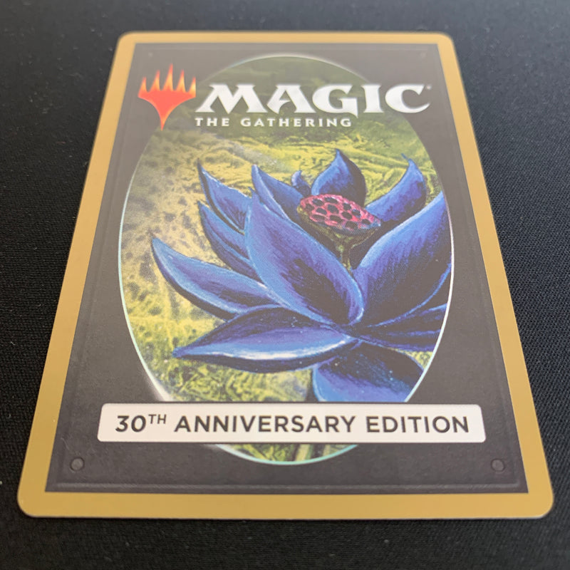 Magic the Gathering Taiga (Modern Frame) - 30th Anniversary Edition 