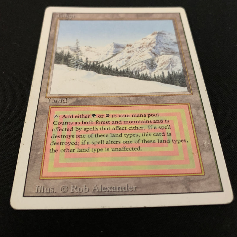 Magic the Gathering Taiga - Revised 