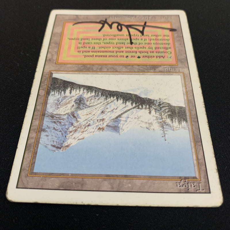 Magic the Gathering Taiga - Revised 