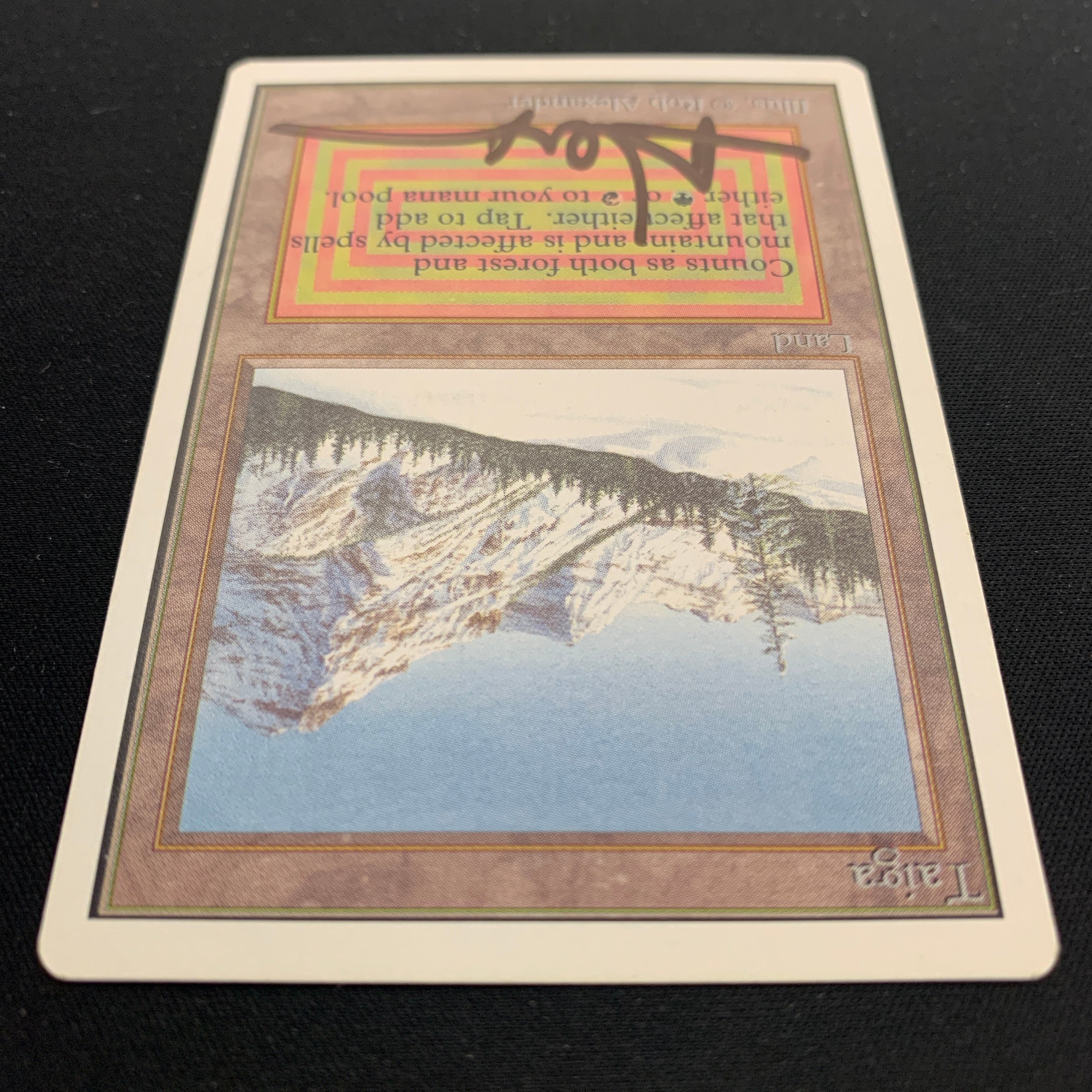 MTG Singles - Taiga - Unlimited - 