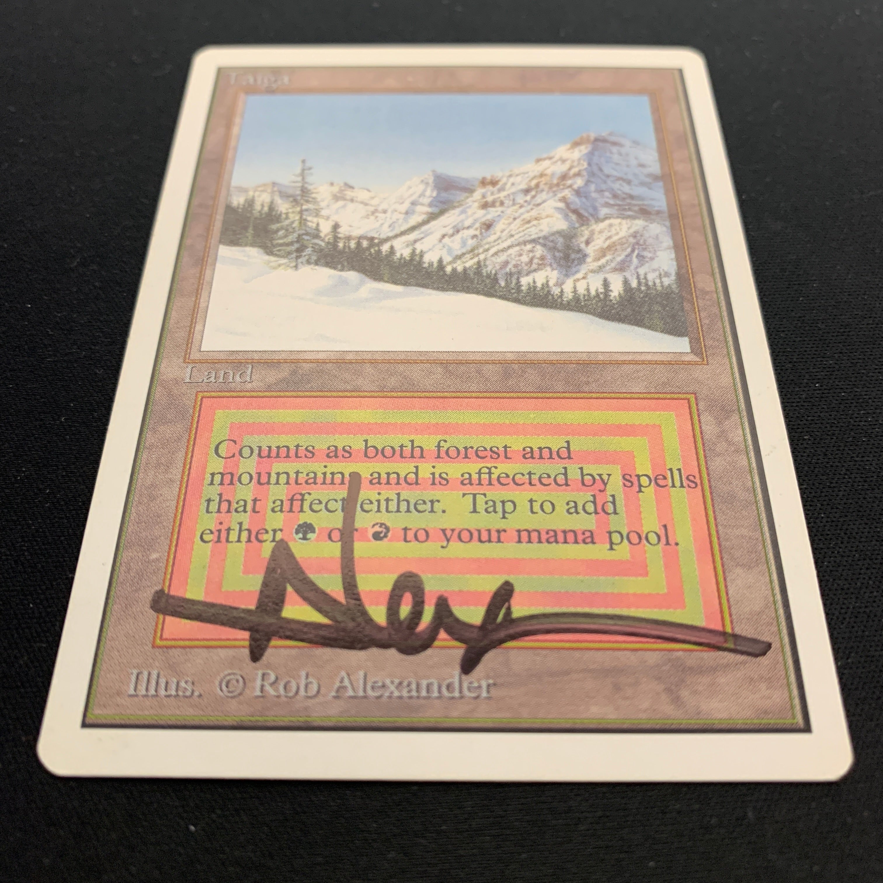 MTG Singles - Taiga - Unlimited - 