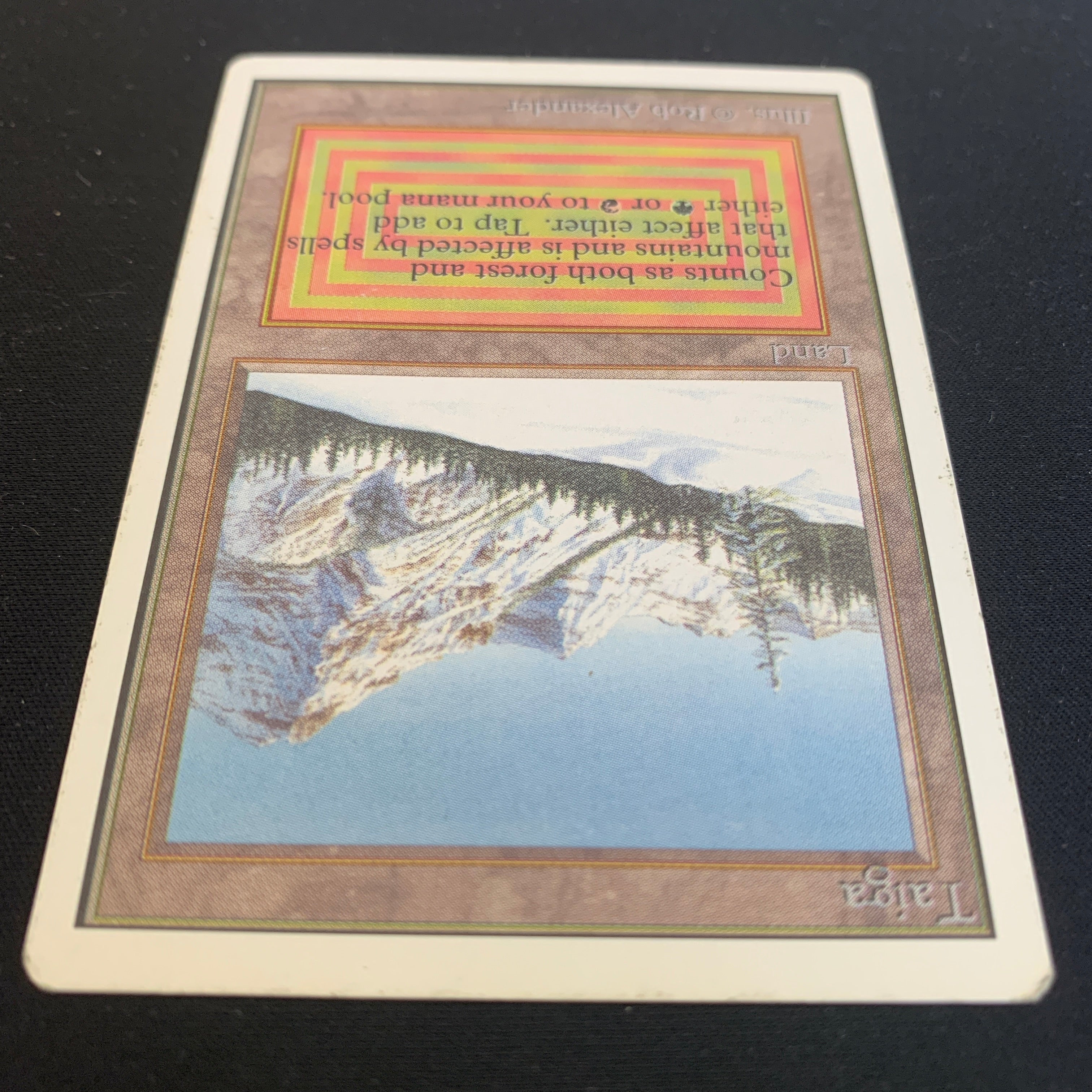 MTG Singles - Taiga - Unlimited - 