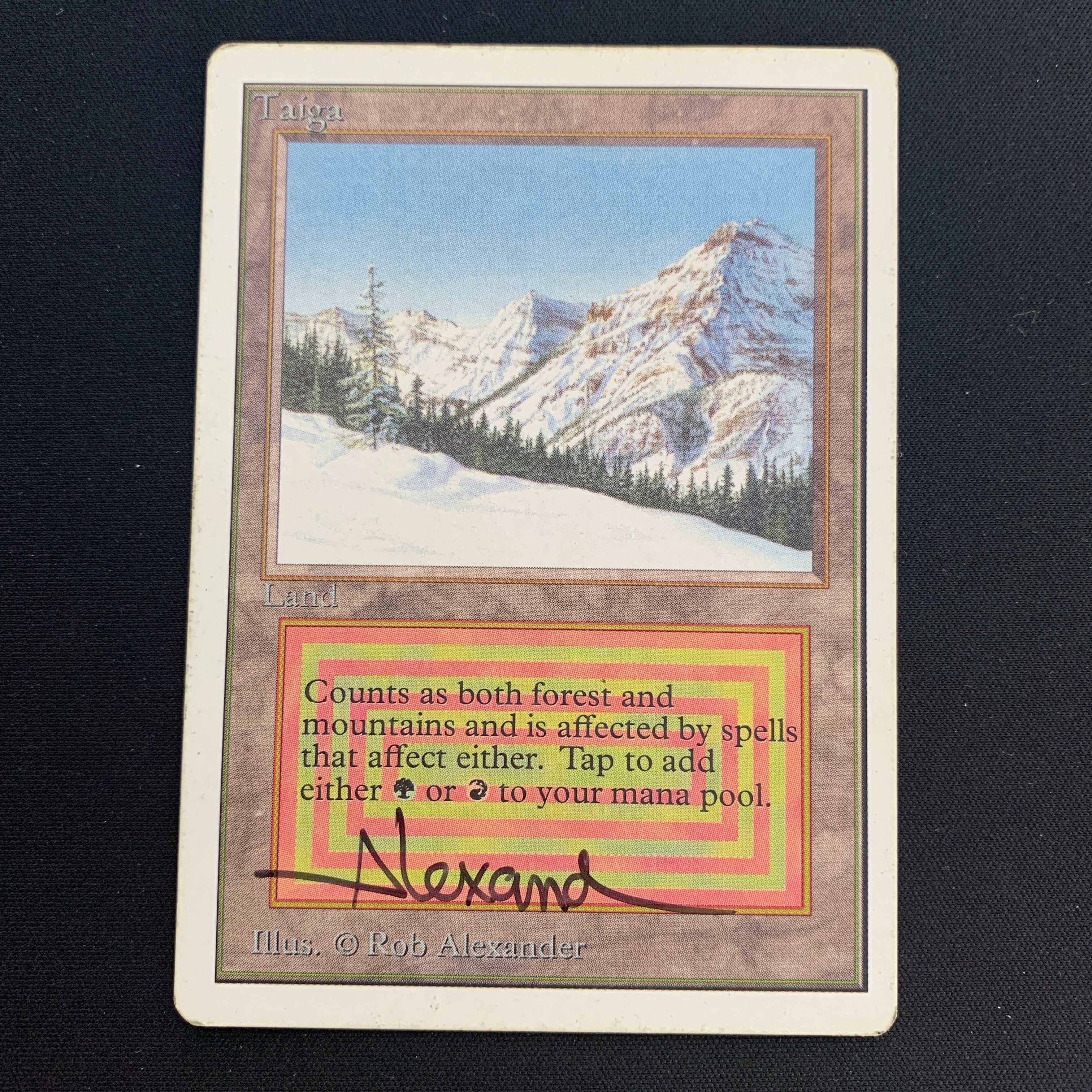 MTG Singles - Taiga - Unlimited - 