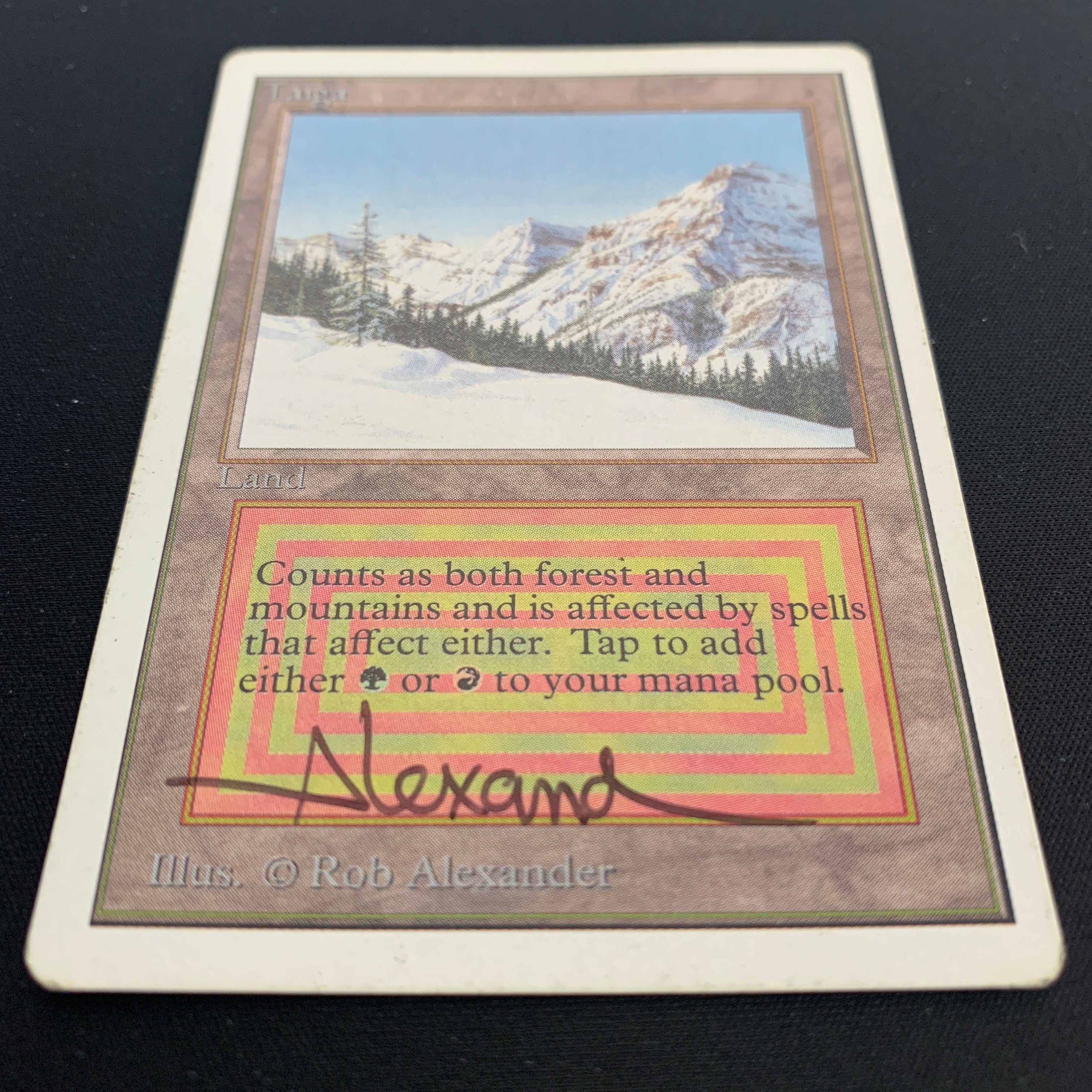 MTG Singles - Taiga - Unlimited - 
