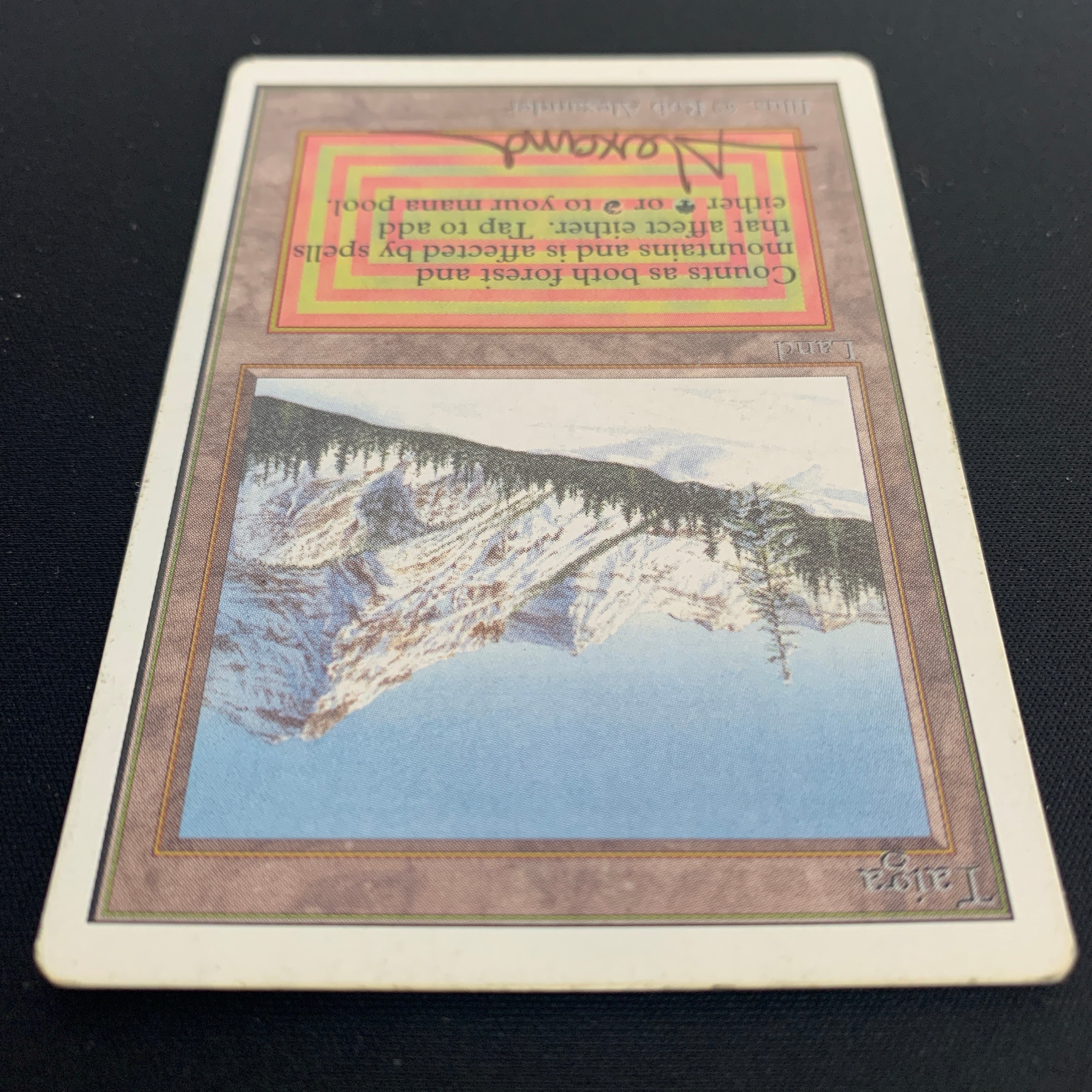 MTG Singles - Taiga - Unlimited - 