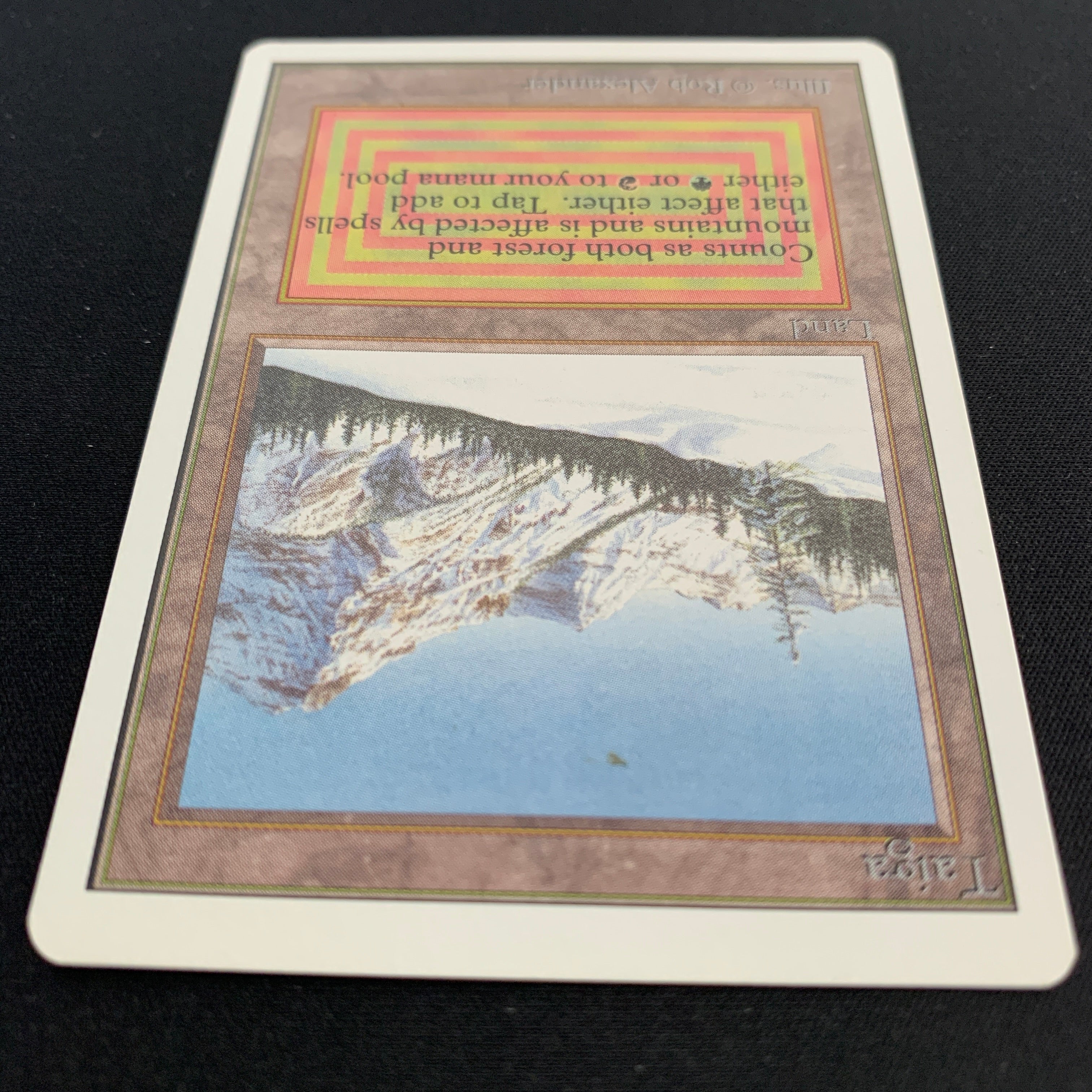 MTG Singles - Taiga - Unlimited - 
