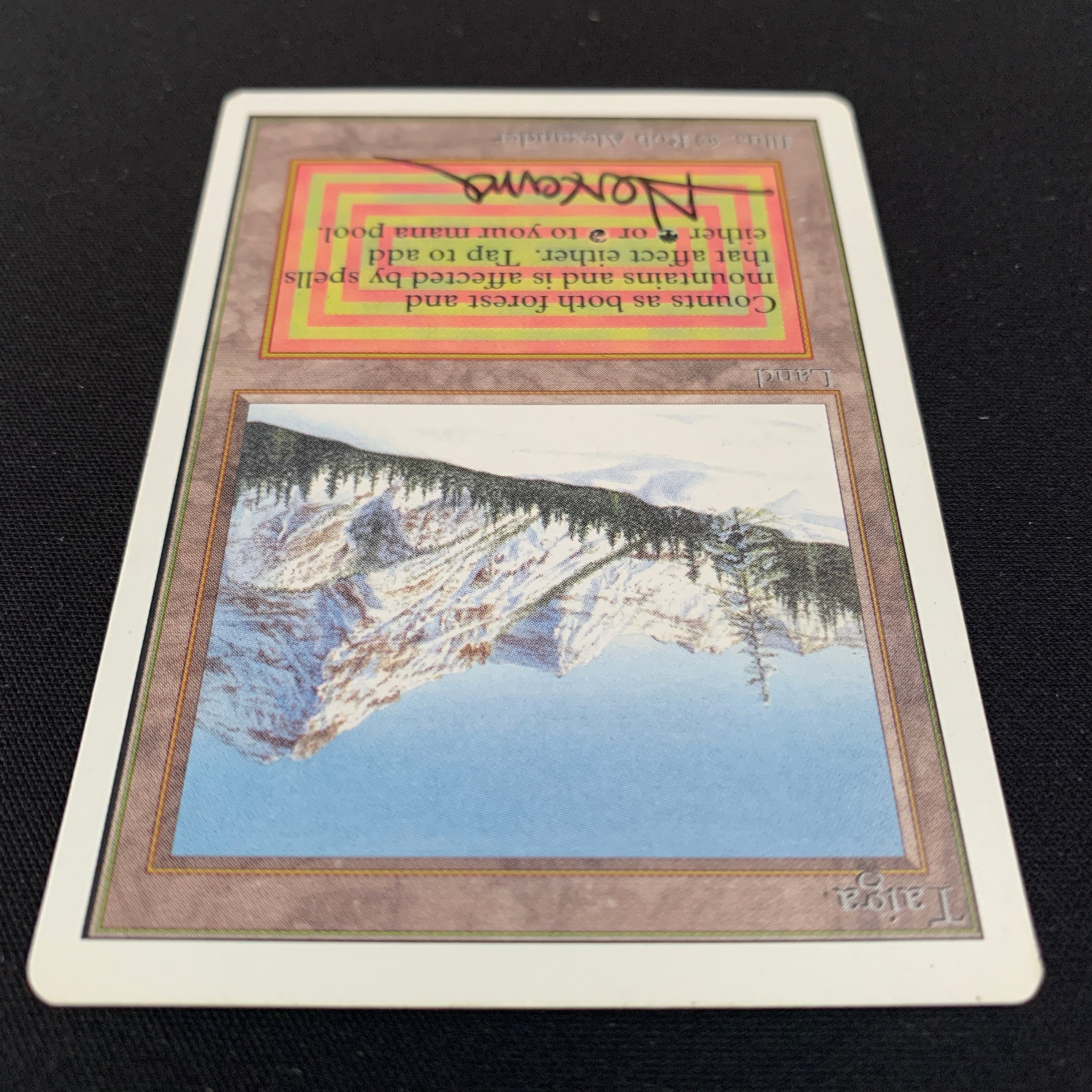 MTG Singles - Taiga - Unlimited - 