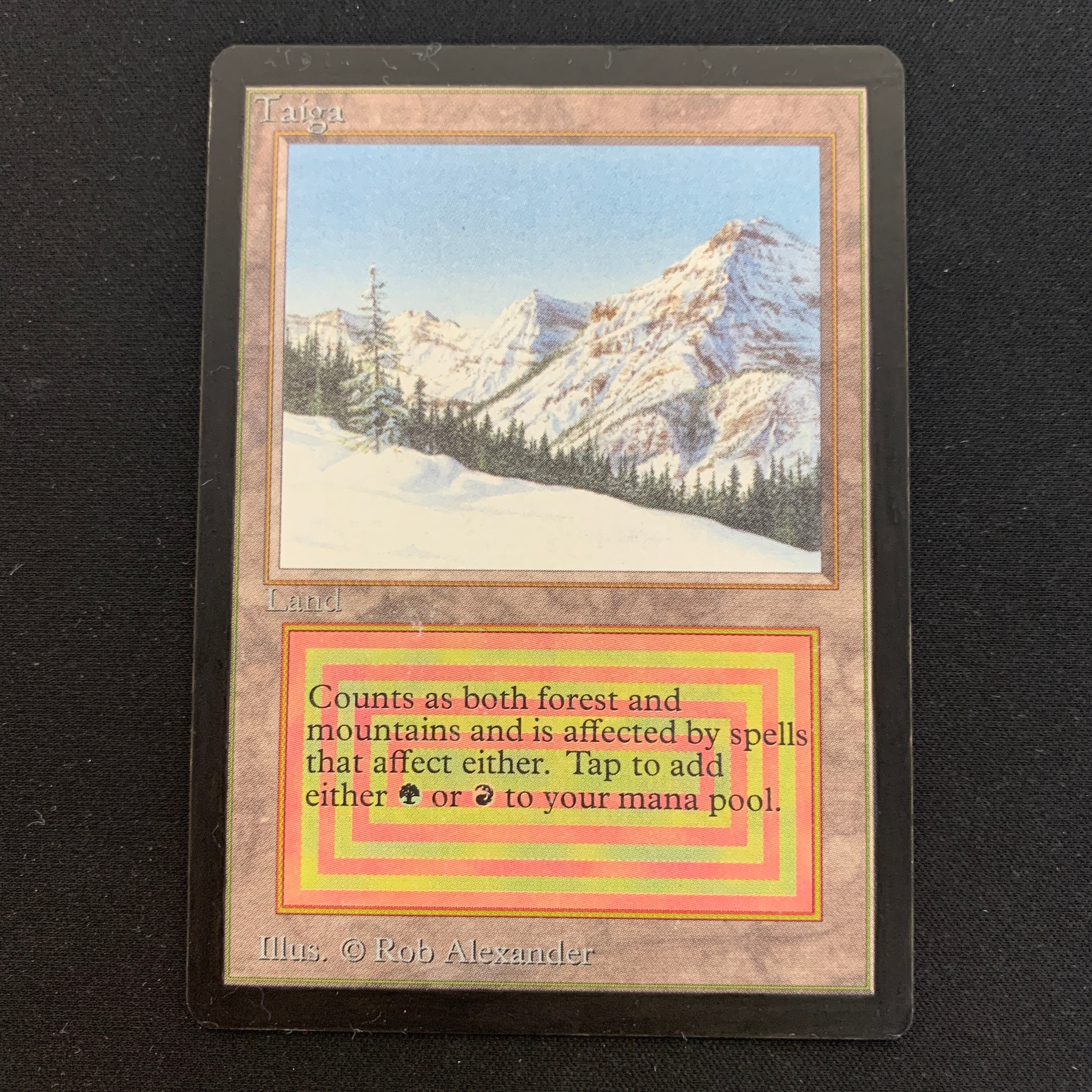 MTG Singles - Taiga - Unlimited - 