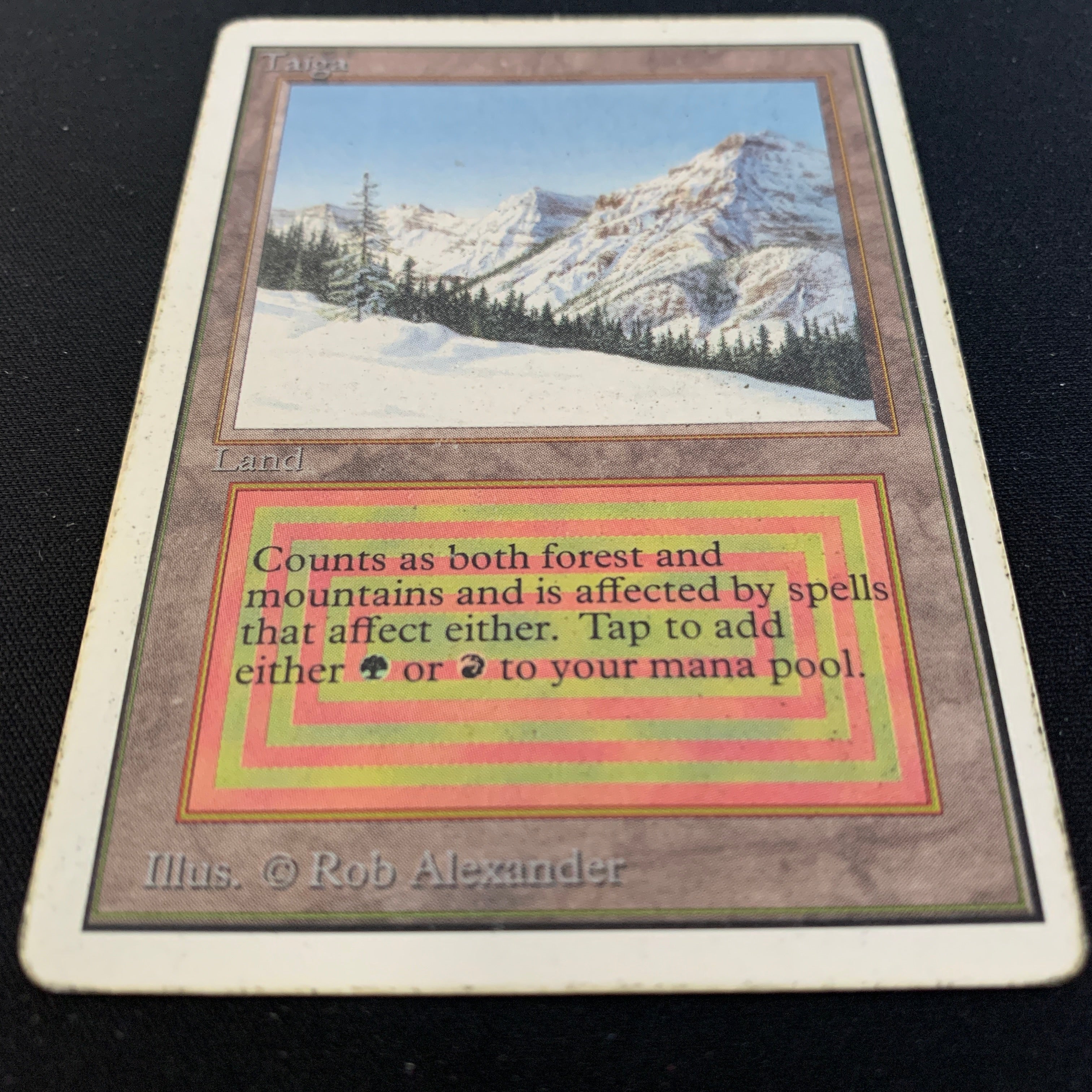 MTG Singles - Taiga - Unlimited - 