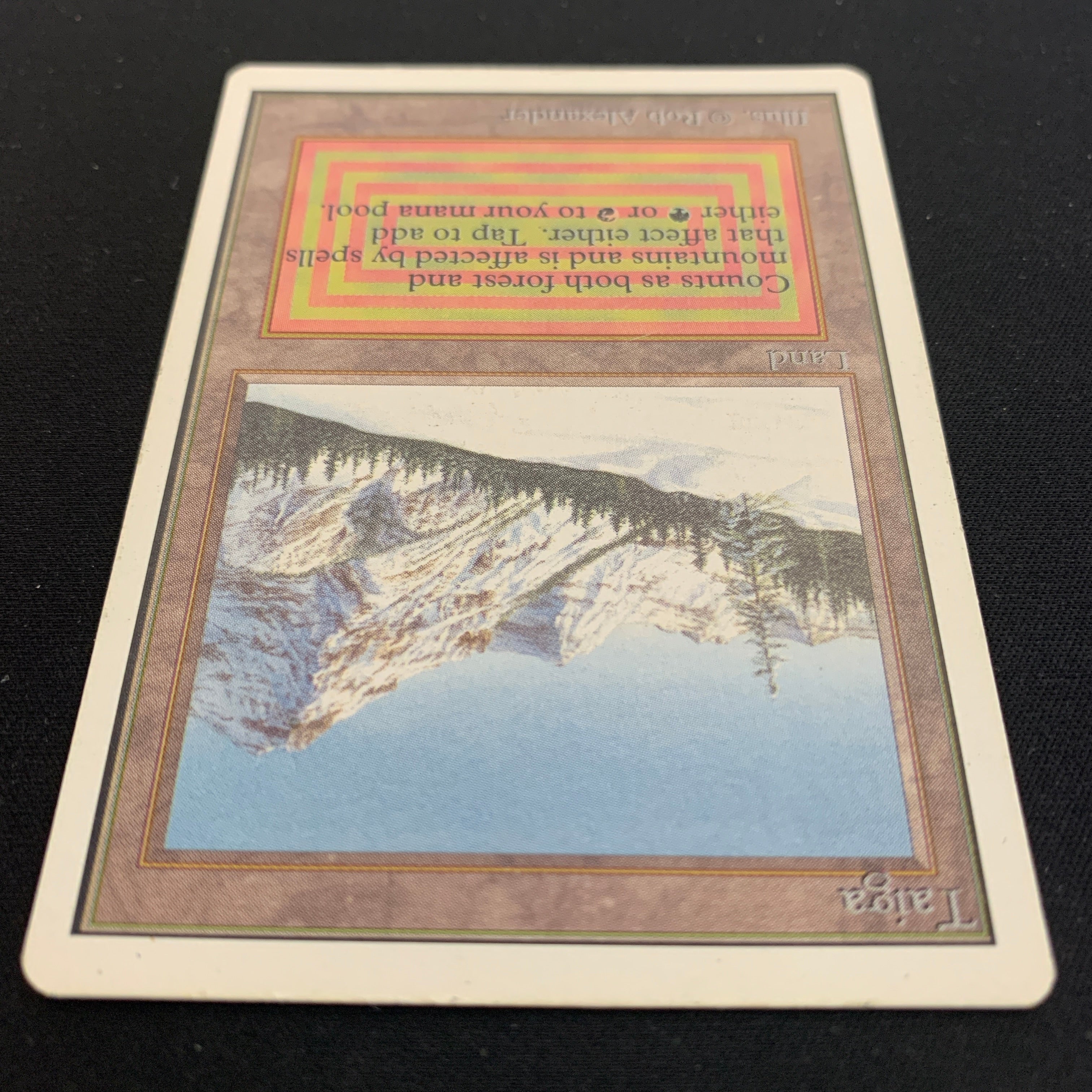 MTG Singles - Taiga - Unlimited - 