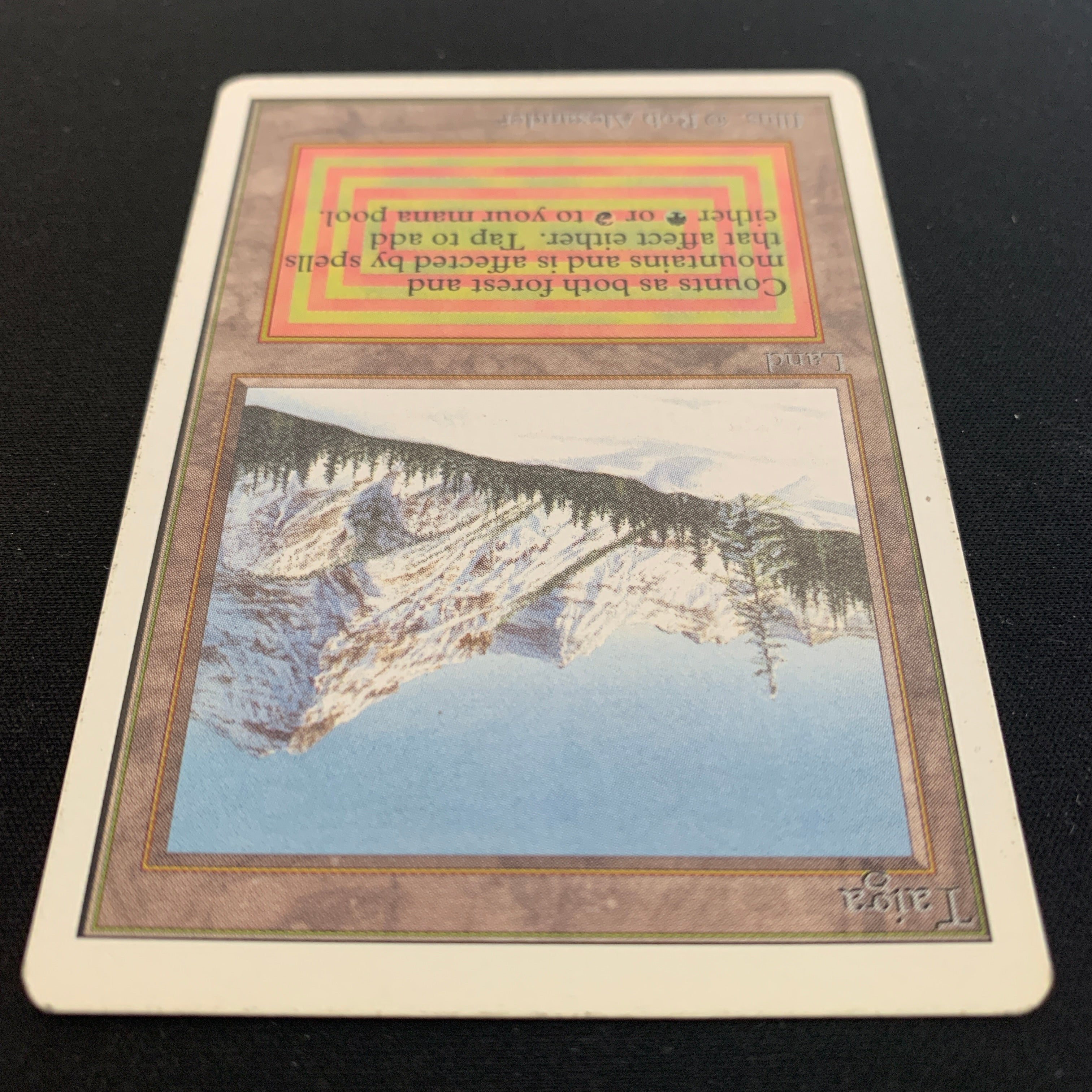 MTG Singles - Taiga - Unlimited - 