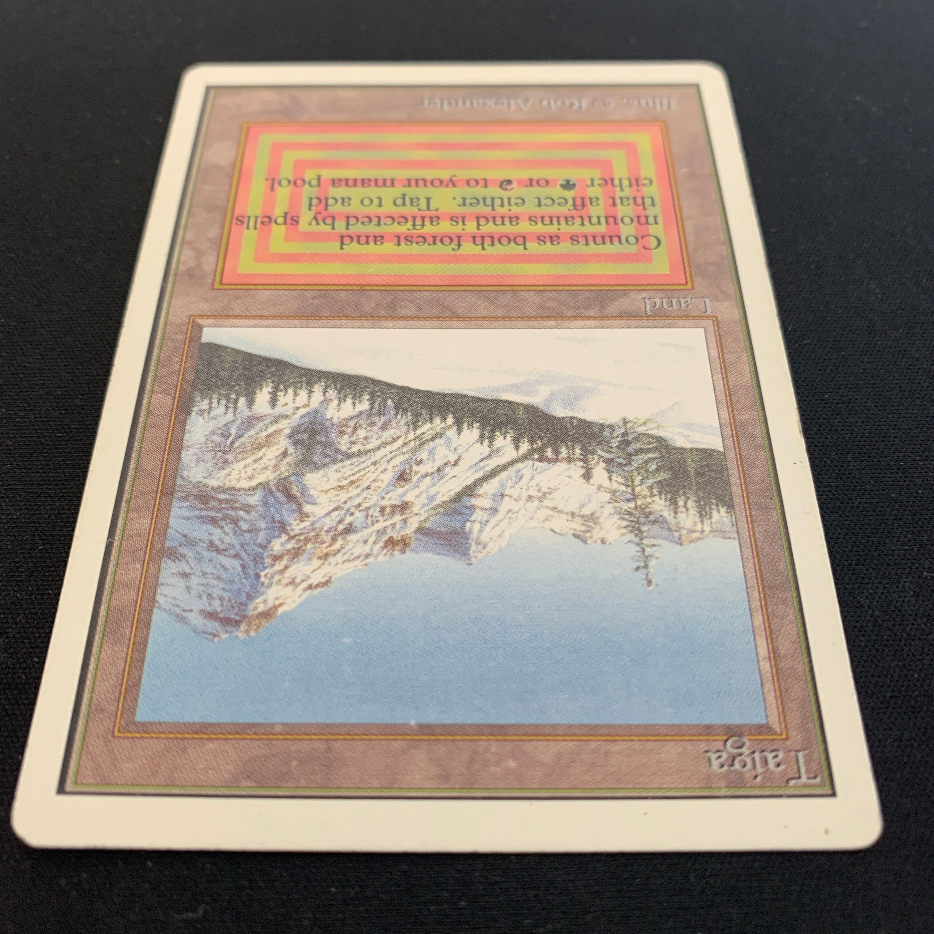 MTG Singles - Taiga - Unlimited - 