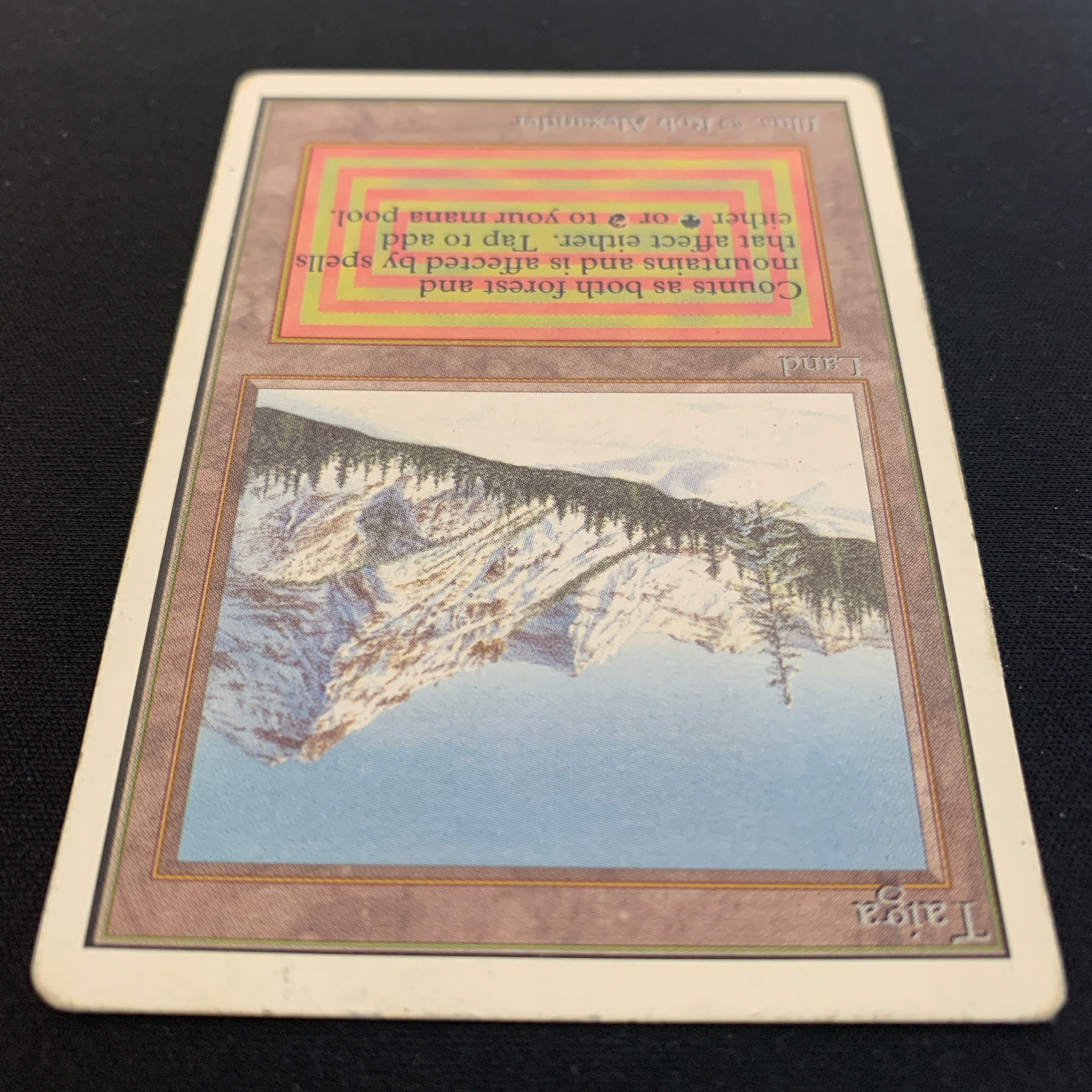 MTG Singles - Taiga - Unlimited - 
