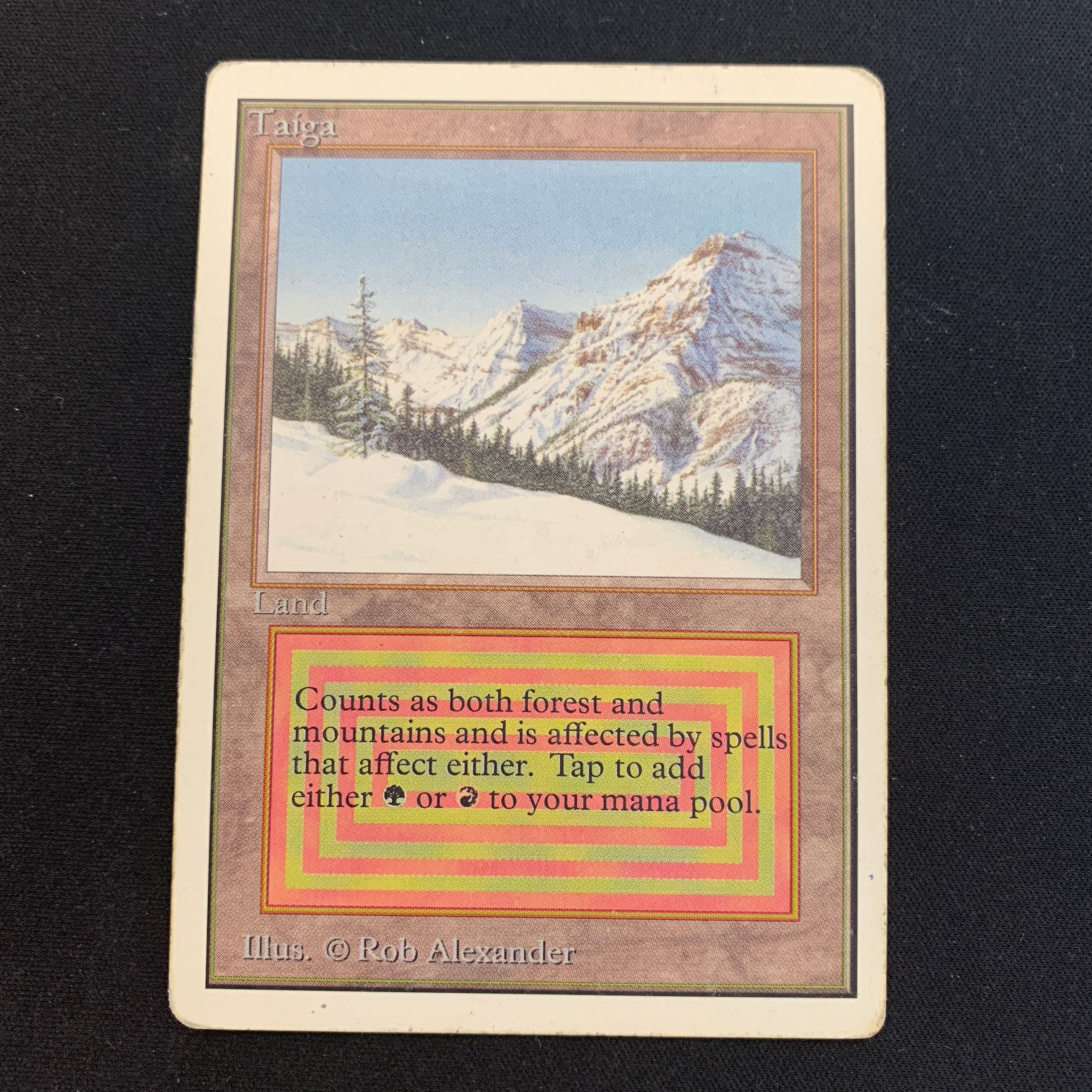 MTG Singles - Taiga - Unlimited - 
