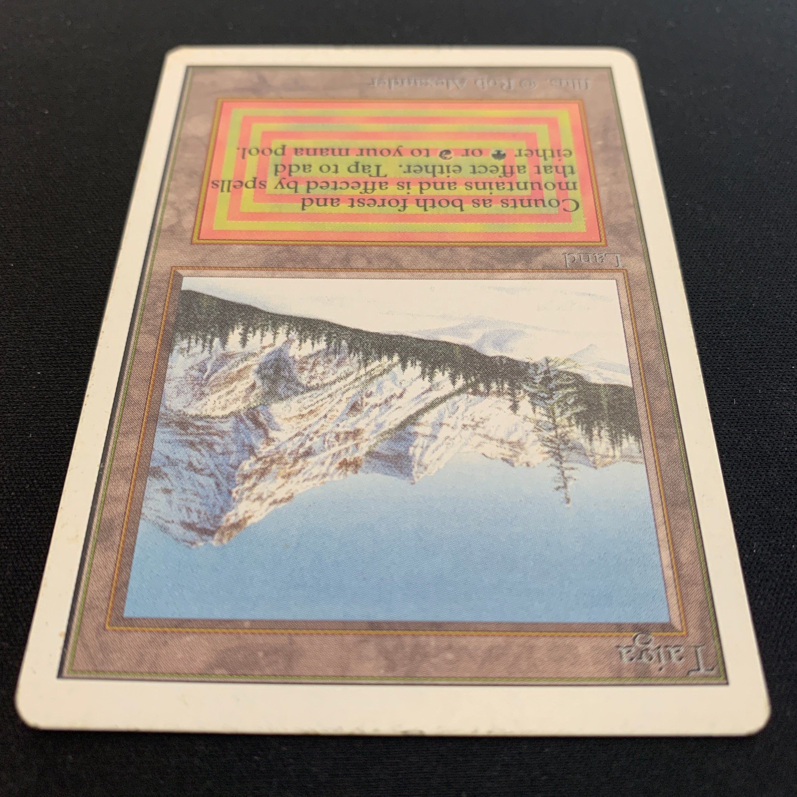 MTG Singles - Taiga - Unlimited - 