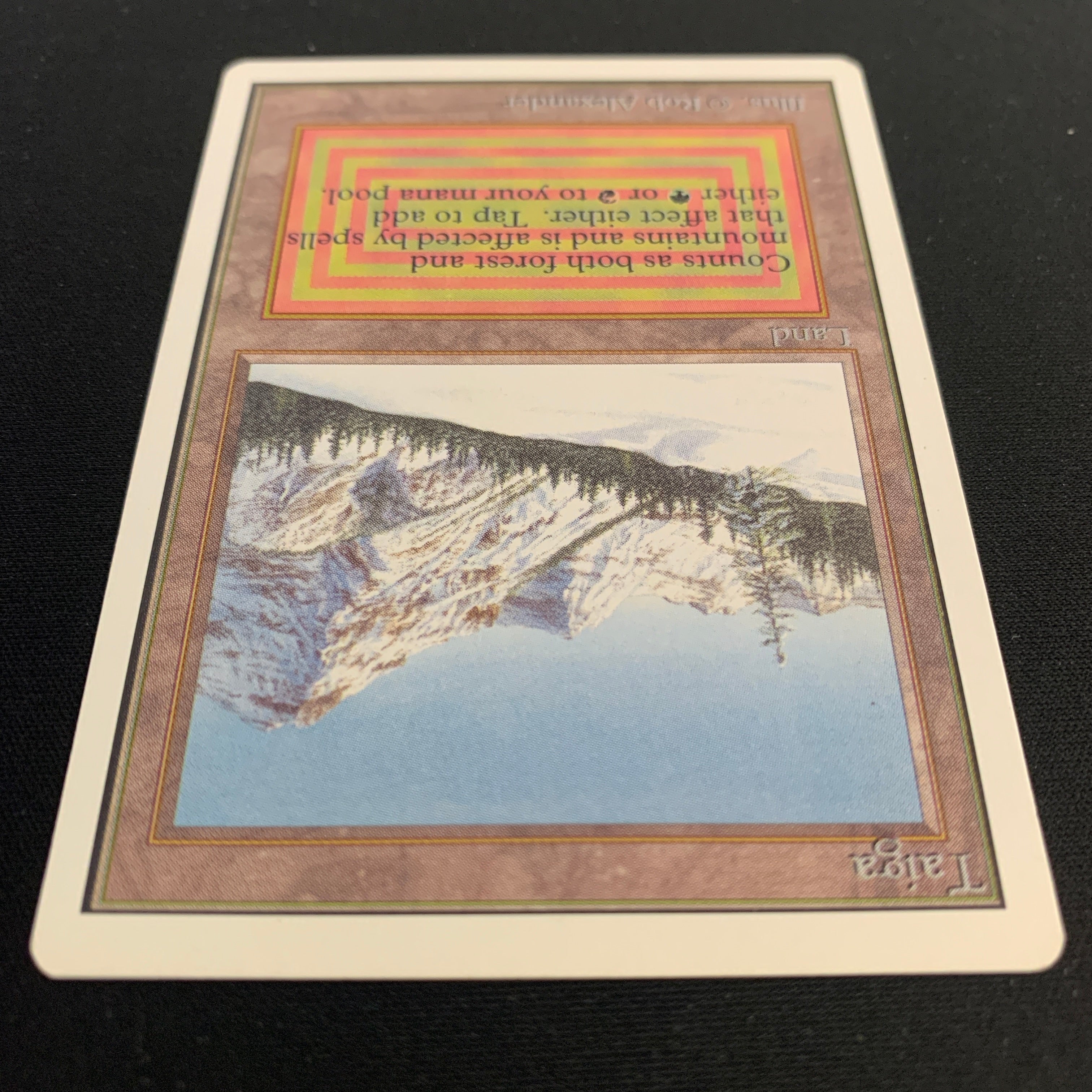 MTG Singles - Taiga - Unlimited - 