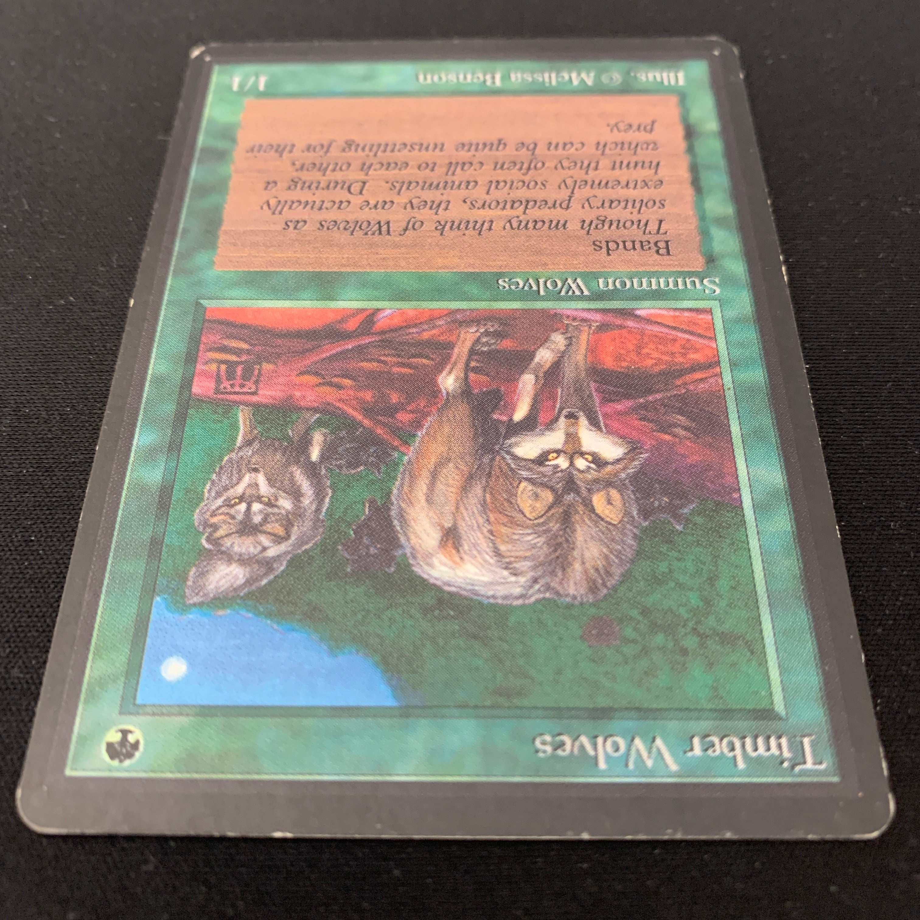 MTG Singles - Timber Wolves - Beta - 